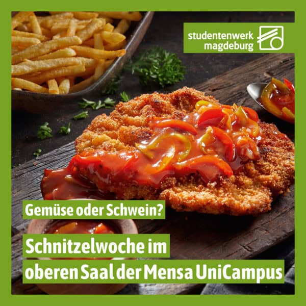 Schnitzel mit Letscho